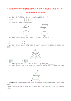 山東省德州市2022年中考數(shù)學同步復(fù)習 第四章 幾何初步與三角形 第二節(jié) 三角形的有關(guān)概念及性質(zhì)訓練