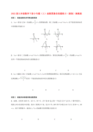 2022屆九年級數(shù)學(xué)下冊 小專題（三）函數(shù)圖象信息題練習(xí) （新版）湘教版