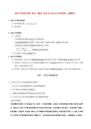 2022年高考生物 考點(diǎn)一遍過 考點(diǎn)28 DNA分子的結(jié)構(gòu)（含解析）