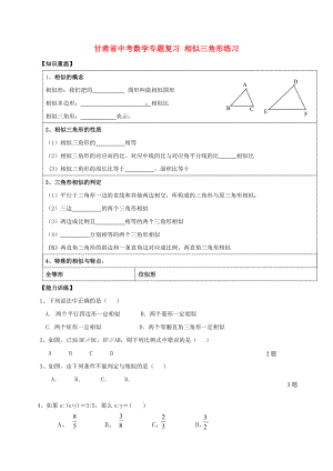 甘肅省中考數(shù)學專題復習 相似三角形練習