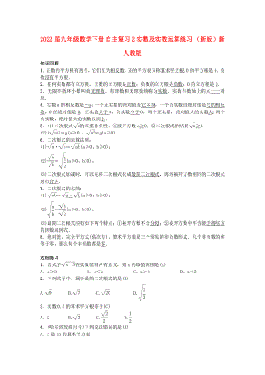 2022屆九年級數(shù)學下冊 自主復習2 實數(shù)及實數(shù)運算練習 （新版）新人教版