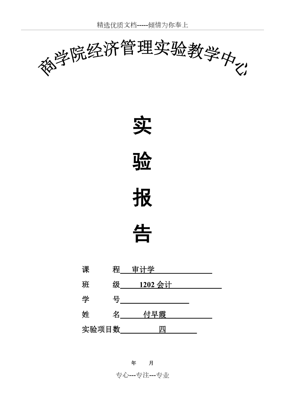 审计学实验报告共24页_第1页