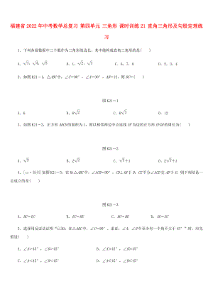 福建省2022年中考數(shù)學(xué)總復(fù)習(xí) 第四單元 三角形 課時(shí)訓(xùn)練21 直角三角形及勾股定理練習(xí)