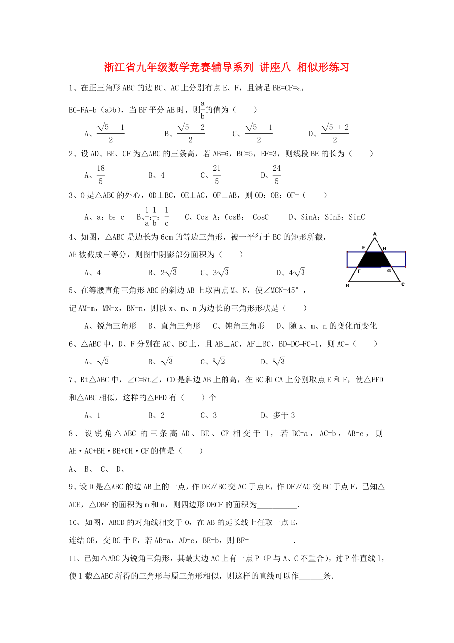 浙江省九年级数学竞赛辅导系列 讲座八 相似形练习_第1页