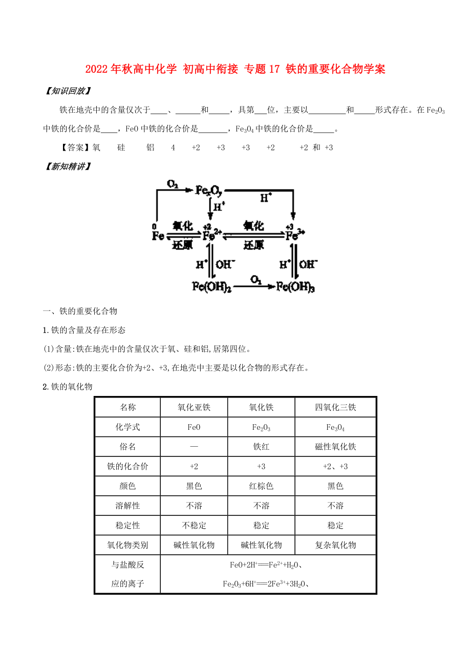 2022年秋高中化学 初高中衔接 专题17 铁的重要化合物学案_第1页