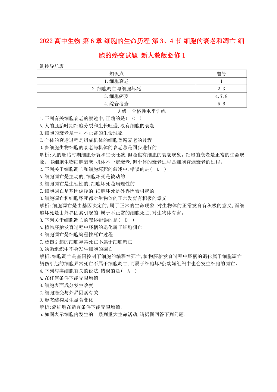 2022高中生物 第6章 細(xì)胞的生命歷程 第3、4節(jié) 細(xì)胞的衰老和凋亡 細(xì)胞的癌變試題 新人教版必修1_第1頁