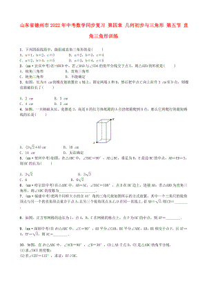 山東省德州市2022年中考數(shù)學(xué)同步復(fù)習(xí) 第四章 幾何初步與三角形 第五節(jié) 直角三角形訓(xùn)練