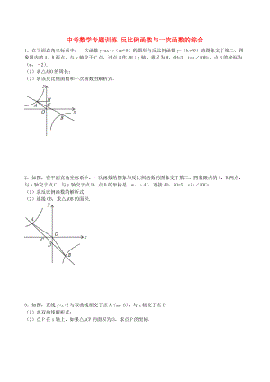 中考數(shù)學(xué)專題訓(xùn)練 反比例函數(shù)與一次函數(shù)的綜合