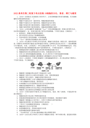 2022高考生物二輪復(fù)習(xí) 考點狂練10 細(xì)胞的分化、衰老、凋亡與癌變