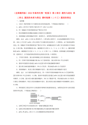 （全國通用版）2022年高考生物一輪復(fù)習(xí) 第2部分 遺傳與進化 第二單元 基因的本質(zhì)與表達 課時檢測（二十三）基因的表達