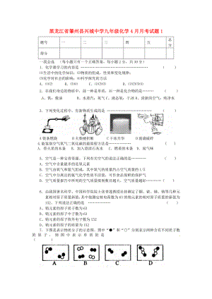 黑龙江省肇州县兴城中学九年级化学4月月考试题1无答案