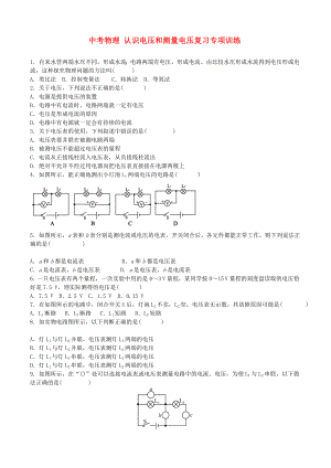 中考物理 認(rèn)識(shí)電壓和測(cè)量電壓復(fù)習(xí)專項(xiàng)訓(xùn)練