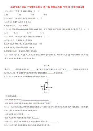 （江西專(zhuān)版）2022中考化學(xué)總復(fù)習(xí) 第一篇 基礎(chǔ)過(guò)關(guān)篇 專(zhuān)項(xiàng)01 化學(xué)用語(yǔ)習(xí)題