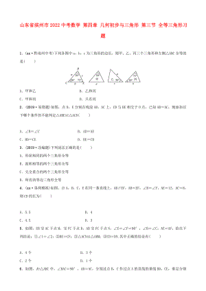 山東省濱州市2022中考數(shù)學(xué) 第四章 幾何初步與三角形 第三節(jié) 全等三角形習(xí)題