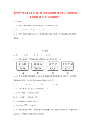 重慶市中考化學(xué)總復(fù)習(xí) 第一輪 基礎(chǔ)知識(shí)研究 第二單元 化學(xué)基本概念和原理 第12講 化學(xué)用語(yǔ)練習(xí)