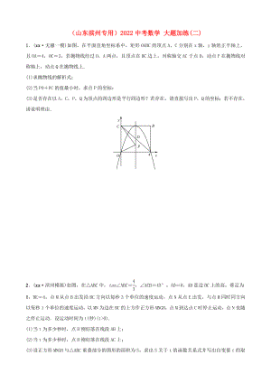 （山東濱州專(zhuān)用）2022中考數(shù)學(xué) 大題加練(二)