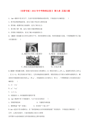 （東營專版）2022年中考物理總復(fù)習(xí) 第九章 壓強(qiáng)習(xí)題