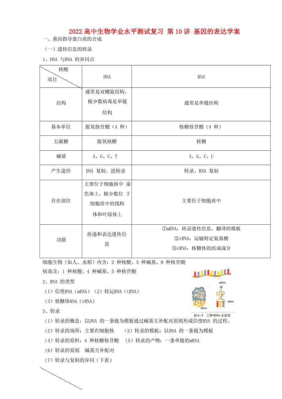 2022高中生物學(xué)業(yè)水平測試復(fù)習(xí) 第10講 基因的表達學(xué)案_第1頁