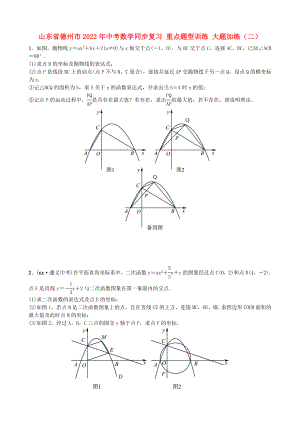 山東省德州市2022年中考數(shù)學(xué)同步復(fù)習(xí) 重點題型訓(xùn)練 大題加練（二）