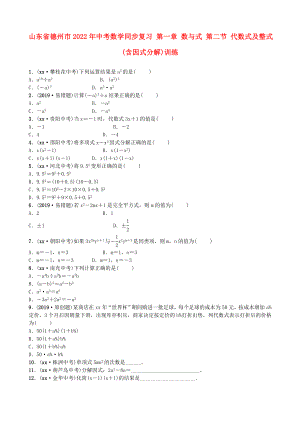山東省德州市2022年中考數(shù)學同步復習 第一章 數(shù)與式 第二節(jié) 代數(shù)式及整式(含因式分解)訓練
