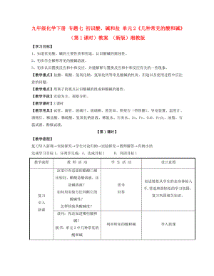 九年級化學下冊 專題七 初識酸、堿和鹽 單元2《幾種常見的酸和堿》（第1課時）教案 （新版）湘教版