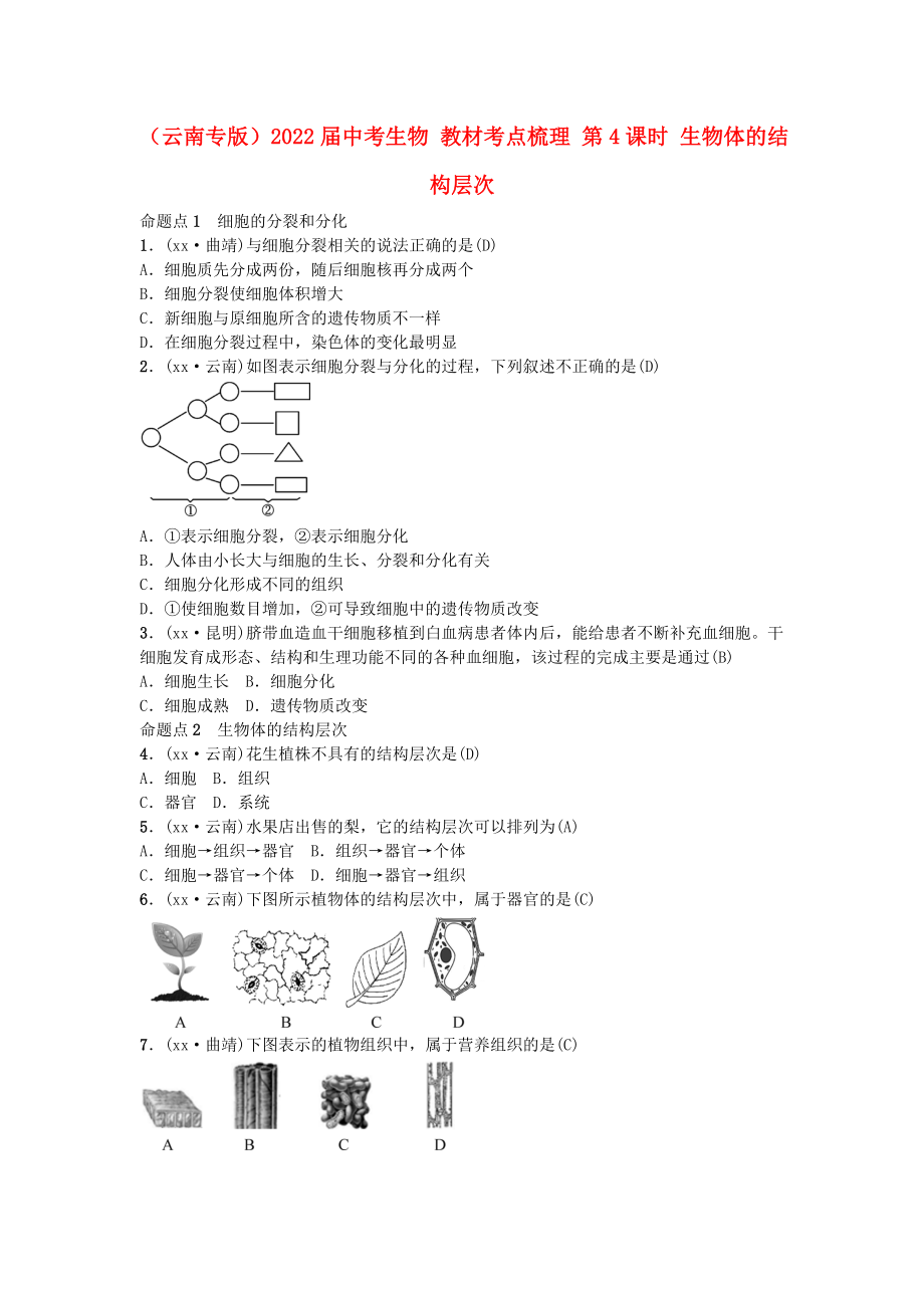 （云南專版）2022屆中考生物 教材考點(diǎn)梳理 第4課時 生物體的結(jié)構(gòu)層次_第1頁