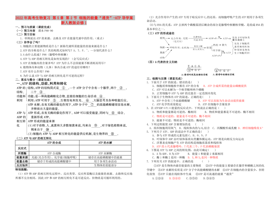 2022年高考生物復(fù)習(xí) 第5章 第2節(jié) 細(xì)胞的能量“通貨”-ATP導(dǎo)學(xué)案 新人教版必修1_第1頁