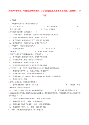 2022中考物理 內(nèi)能及其利用模塊 分子運動論及其基本觀點訓(xùn)練（含解析） 滬科版