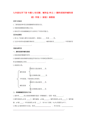 九年級(jí)化學(xué)下冊(cè) 專題七 初識(shí)酸、堿和鹽 單元1《酸性溶液和堿性溶液》學(xué)案1（新版）湘教版