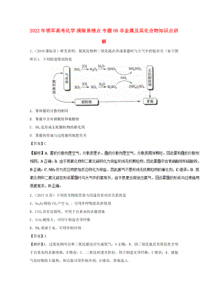 2022年領(lǐng)軍高考化學(xué) 清除易錯(cuò)點(diǎn) 專題08 非金屬及其化合物知識點(diǎn)講解