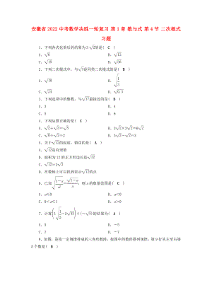 安徽省2022中考數(shù)學(xué)決勝一輪復(fù)習(xí) 第1章 數(shù)與式 第4節(jié) 二次根式習(xí)題