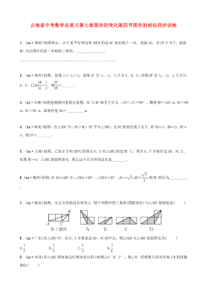 云南省中考数学总复习第七章图形的变化第四节图形的相似同步训练