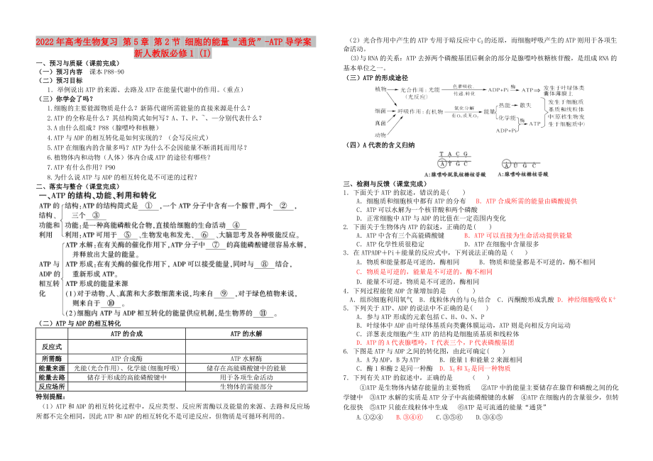 2022年高考生物復(fù)習(xí) 第5章 第2節(jié) 細(xì)胞的能量“通貨”-ATP導(dǎo)學(xué)案 新人教版必修1 (I)_第1頁