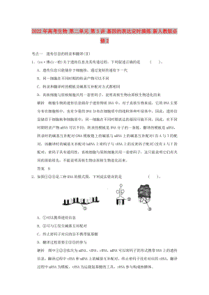 2022年高考生物 第二單元 第3講 基因的表達定時演練 新人教版必修2