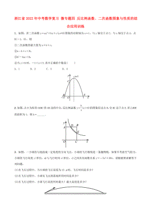 浙江省2022年中考數(shù)學(xué)復(fù)習(xí) 微專題四 反比例函數(shù)、二次函數(shù)圖象與性質(zhì)的綜合應(yīng)用訓(xùn)練