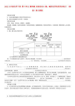 2022九年級化學(xué)下冊 第十單元 酸和堿 實(shí)驗(yàn)活動6 酸、堿的化學(xué)性質(zhì)同步練習(xí) （新版）新人教版