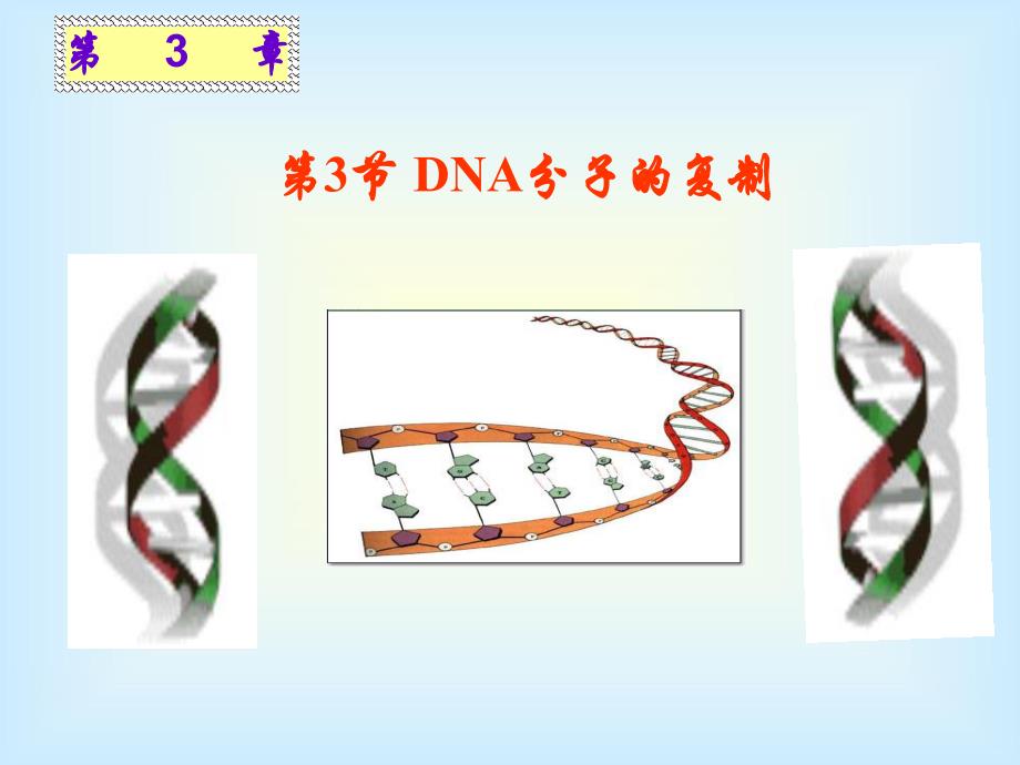 人教版必修二第3章第3节DNA的复制共34张PPT_第1页