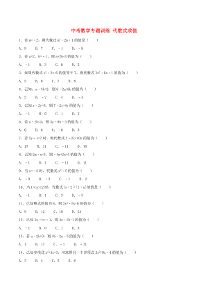 中考數學專題訓練 代數式求值