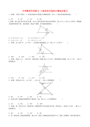 中考數(shù)學(xué)專項(xiàng)復(fù)習(xí) 三角形有關(guān)角的計(jì)算綜合練習(xí)