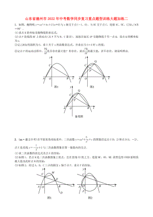山東省德州市2022年中考數(shù)學(xué)同步復(fù)習(xí)重點(diǎn)題型訓(xùn)練大題加練二