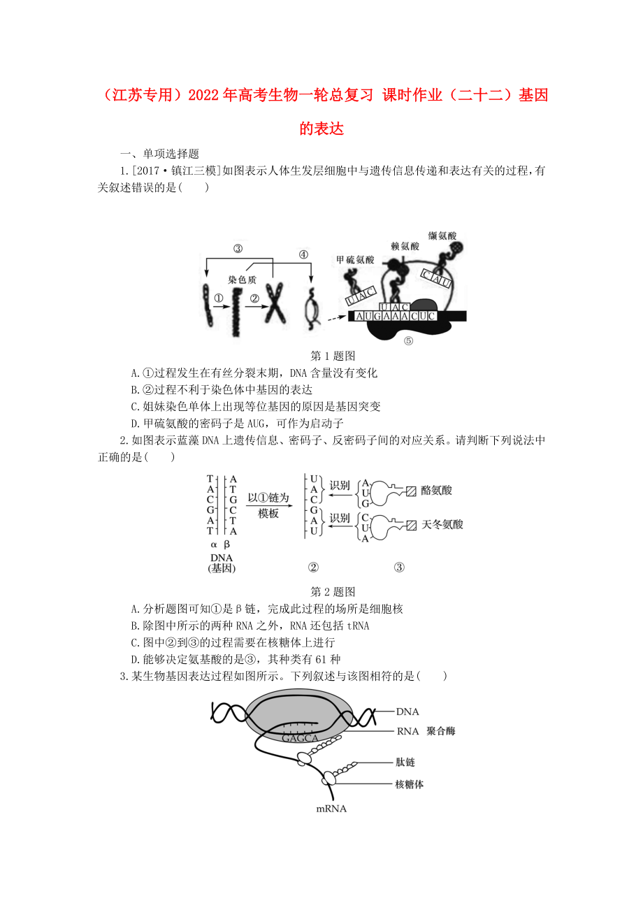 （江蘇專用）2022年高考生物一輪總復習 課時作業(yè)（二十二）基因的表達_第1頁