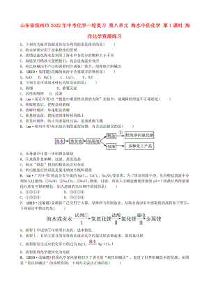 山東省濱州市2022年中考化學(xué)一輪復(fù)習(xí) 第八單元 海水中的化學(xué) 第1課時 海洋化學(xué)資源練習(xí)