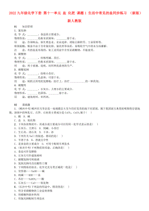 2022九年級化學下冊 第十一單元 鹽 化肥 課題1 生活中常見的鹽同步練習 （新版）新人教版