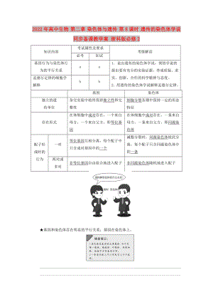 2022年高中生物 第二章 染色體與遺傳 第8課時 遺傳的染色體學(xué)說同步備課教學(xué)案 浙科版必修2