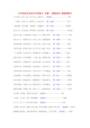 小升初語文知識點專項復習 專題一 基礎知識 猜謎語練習