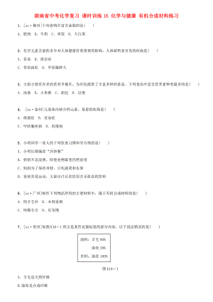 湖南省中考化學復習 課時訓練16 化學與健康 有機合成材料練習