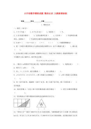 小升初數(shù)學(xué)模擬試題 數(shù)的認(rèn)識(shí) 人教新課標(biāo)版