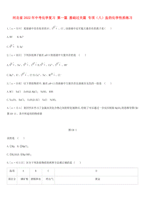 河北省2022年中考化學復習 第一篇 基礎過關篇 專項（八）鹽的化學性質練習