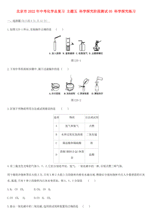 北京市2022年中考化學總復習 主題五 科學探究階段測試05 科學探究練習