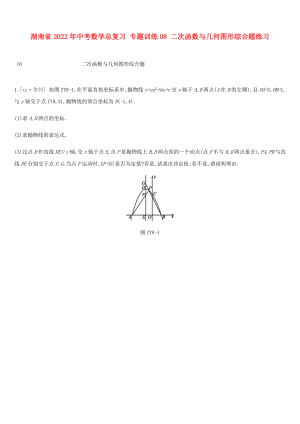 湖南省2022年中考數(shù)學(xué)總復(fù)習(xí) 專題訓(xùn)練08 二次函數(shù)與幾何圖形綜合題練習(xí)